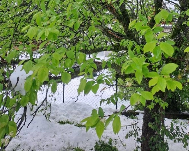Nos prestations de déneigement <span>en Haute-Tarentaise</span>